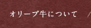 オリーブ牛について